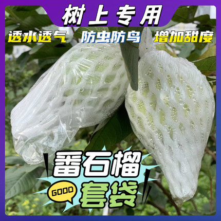 芭乐番石榴网袋套袋防虫水果专用保护袋特厚款番石榴泡沫一体网袋