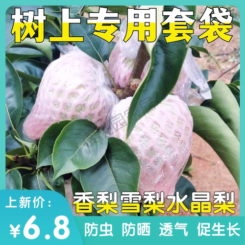 梨子套袋专用树上防虫防果蝇香黄晶梨专用套袋雪梨透气防虫膜袋