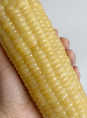 东北老玉米白糯玉米粒粒分明饱满大棒 有嚼劲真空6-7棒农家熟玉米