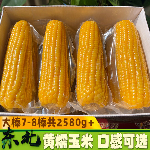 26年东北新鲜熟制糯玉米棒黄糯真空保鲜熟玉米甜粘香大棒7-8棒5斤