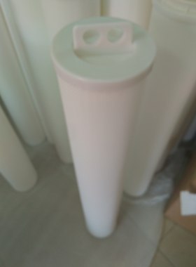 美国原装GRAVER（格瑞福） TBG-RO-40-P 5um保安过滤器大流量滤芯