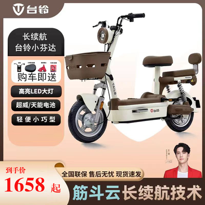 台铃续航60公里新品48/21电池