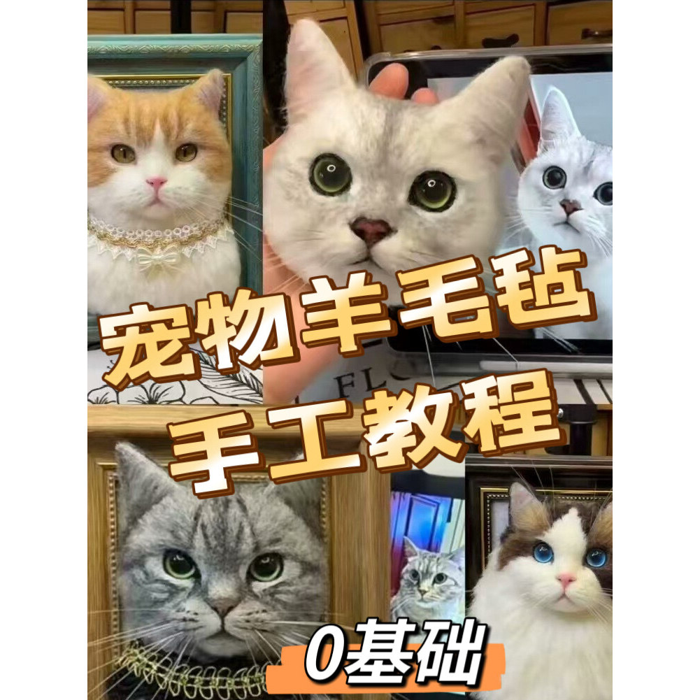 宠物羊毛毡手工制作教程爱宠猫猫狗狗系统戳戳乐教程零基础