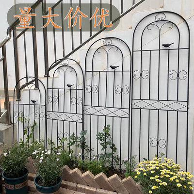 铁线莲庭院花园月季种植爬藤架