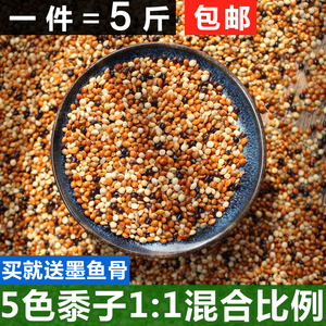 虎皮 牡丹 玄凤 小太阳鹦鹉五色红黍子混合鸟食鸟粮鹦鹉饲料/五斤