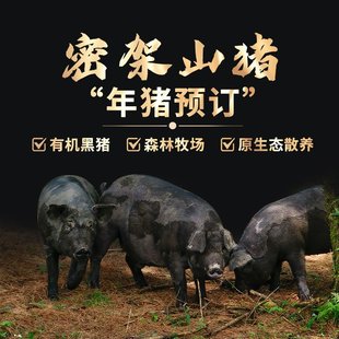 云南密架山猪高原有机黑猪散养年猪整猪香肠腊肉腌肉原材料现杀