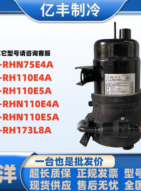 C-RH110E4A C-RHN110E5A C-RH173L8A C-RHN75E4A 三洋卧式压缩机