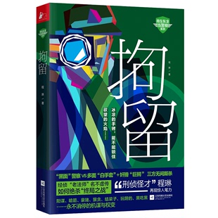 国家行动后程琳再拔经侦利剑 正版 拘留 程琳著 侦探推理