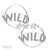 Fashion西方时尚 美国代购 Western 狂欢派对饰品水钻WILD耳环耳饰