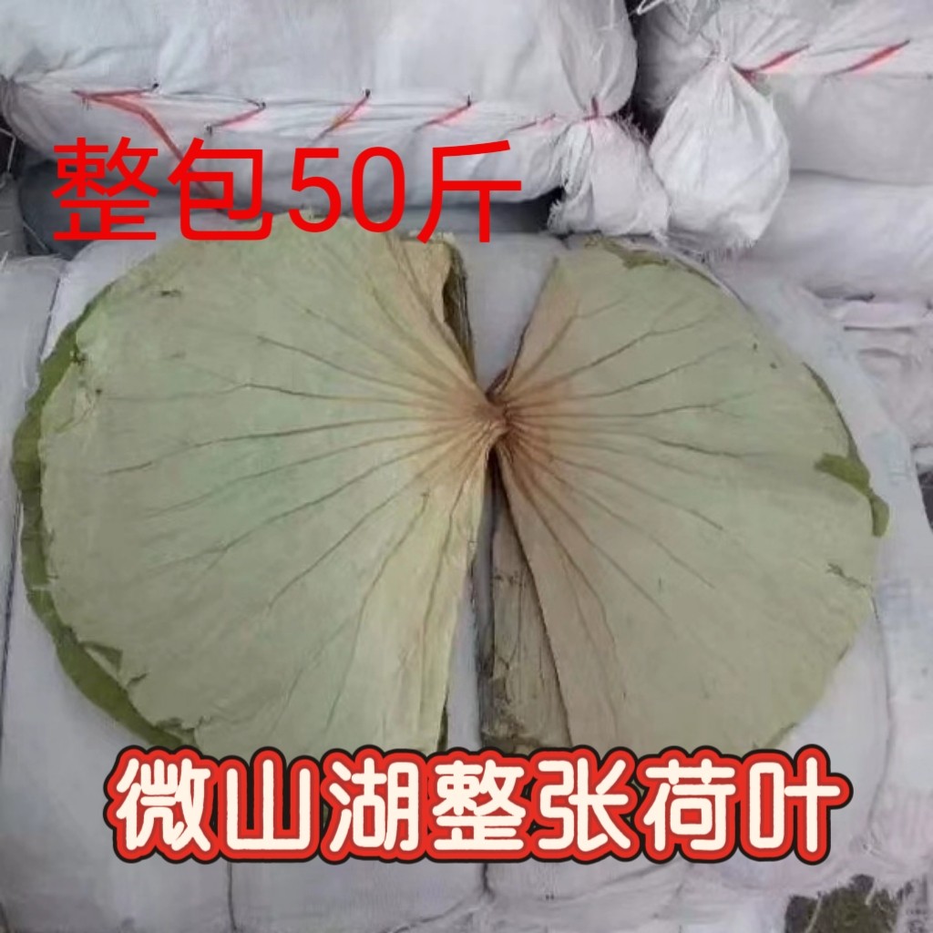 微山湖整张荷叶窑鸡专用锡纸叫花鸡干荷叶商用大张专用一级荷叶