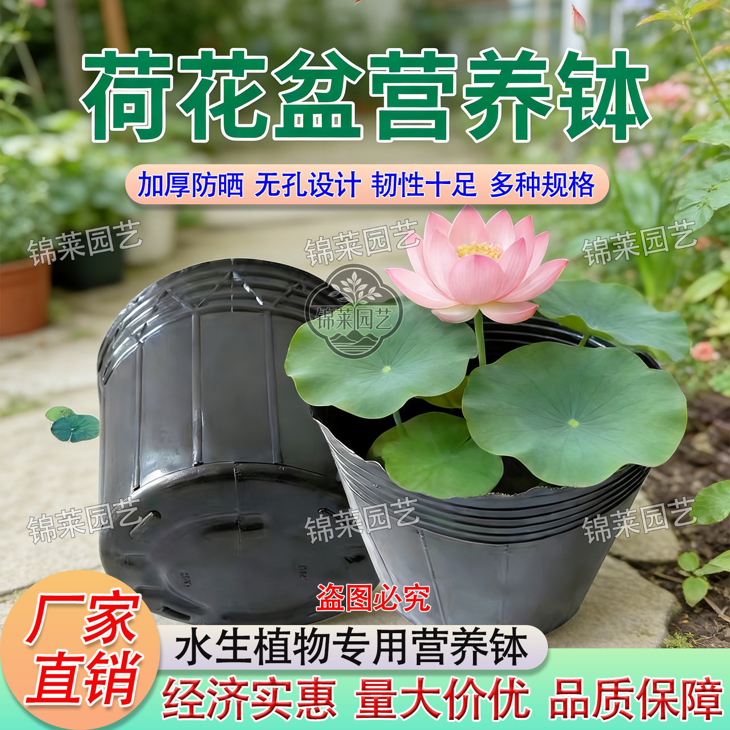 荷花盆无孔营养钵加厚水培盆不漏水碗莲睡莲水生植物专用盆育苗盆图片
