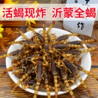 油炸蝎子食用大活蝎子小吃开袋即食昆虫美食拍下默认同意现炸现发