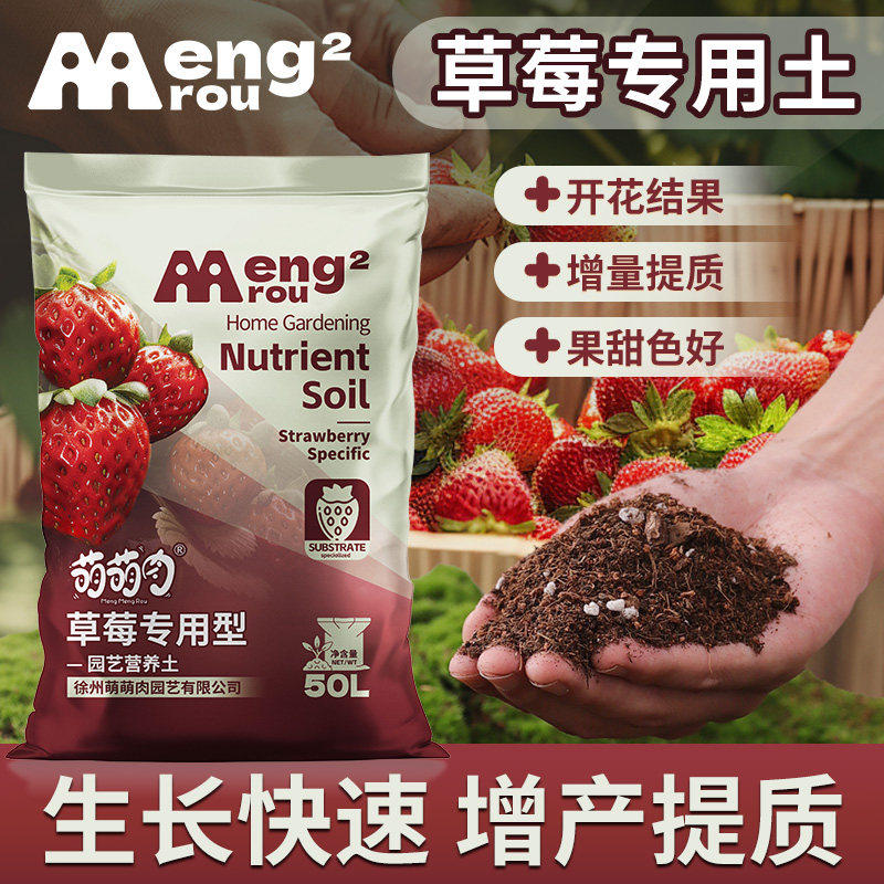 草莓专用土营养土阳台种草莓专用肥料进口泥炭土盆栽土壤种植泥土