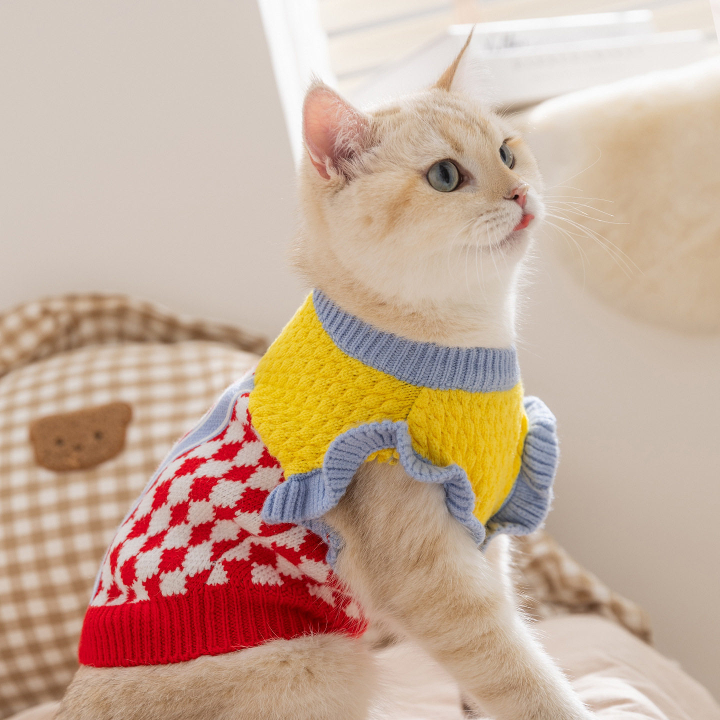 宠物衣服菠萝针织撞色毛衣德文猫无毛猫秋冬两脚款小飞袖猫咪衣服