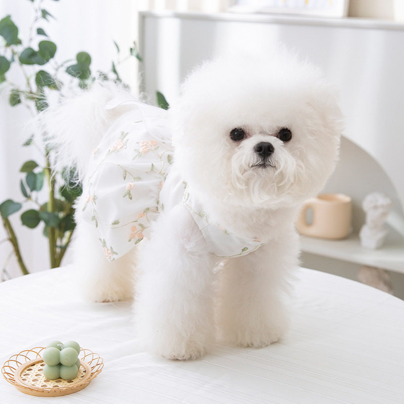 公主风蝴蝶结猫咪裙子薄款小型犬泰迪比熊宠物衣服小狗狗连衣裙子