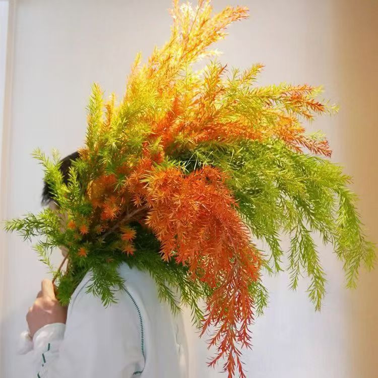 A级千层金鲜花云南基地直发