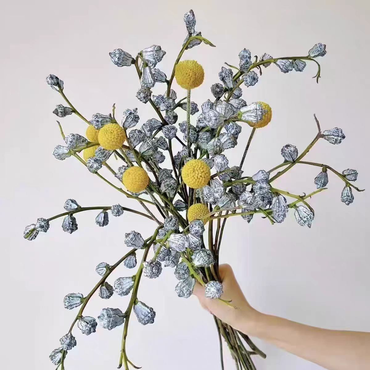 AA级尤加利果组合云南森系天然干花真花干枝桉树果家居装饰