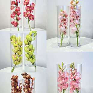 粉色大花蕙兰鲜花云南直发兰花大花惠兰鲜切花插花水培手捧花真花