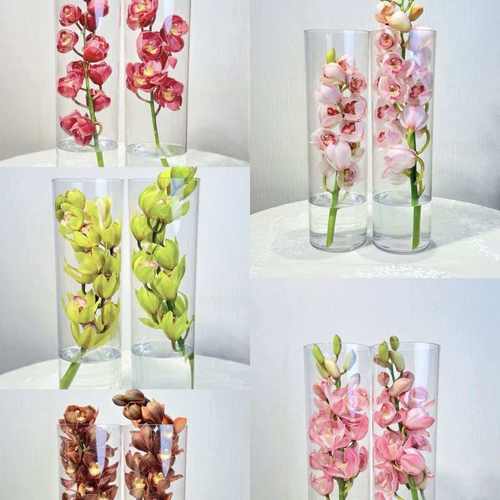 粉色大花蕙兰鲜花云南直发兰花大花惠兰鲜切花插花水培手捧花真花
