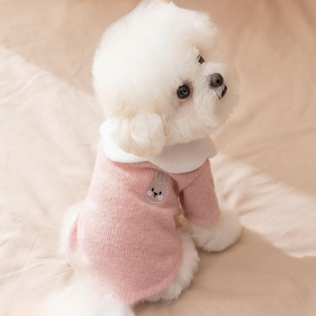 秋冬宠物衣服打底衫狗狗衣服泰迪比熊小型犬加绒两脚可爱小熊上衣