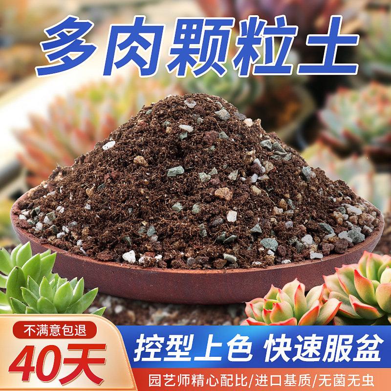 仙兔多肉营养土专用颗粒土肉肉植物种植土进口泥炭铺面石叶插花土