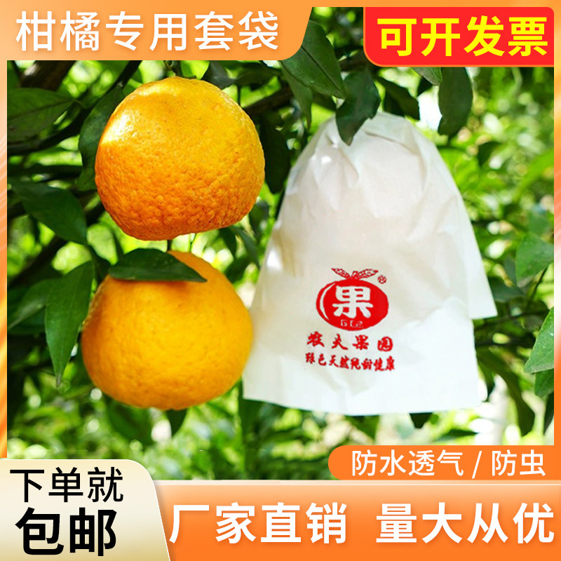 船长花园柑橘套袋耙耙柑丑柑套袋