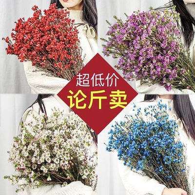 澳洲腊梅鲜花云南基地直发过年宵鲜切花水养培植物室内花卉论斤