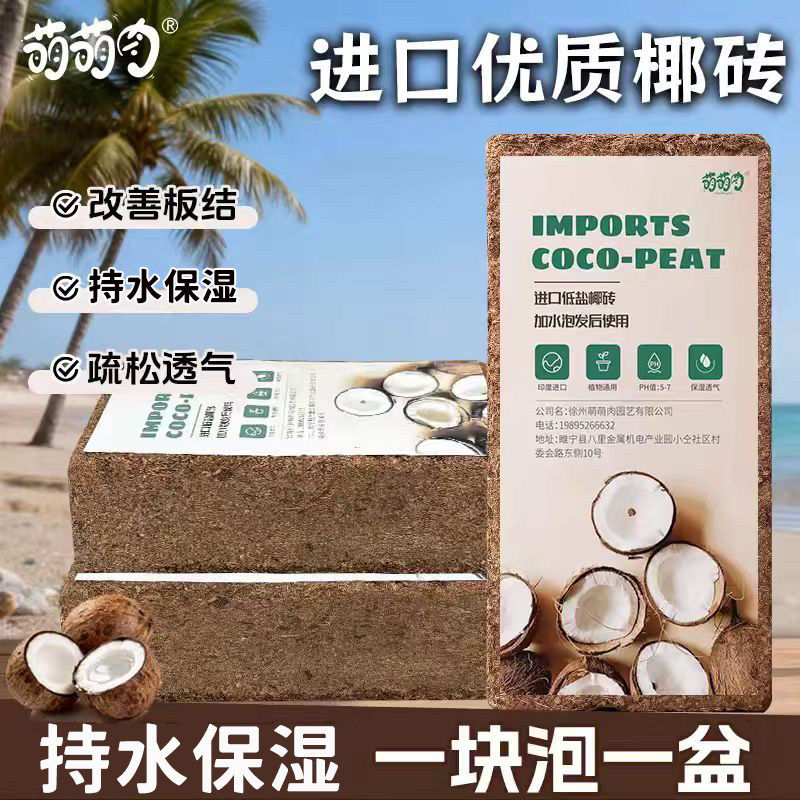 椰砖印度进口优质营养土种菜通用型脱盐养花专用椰砖种植土壤