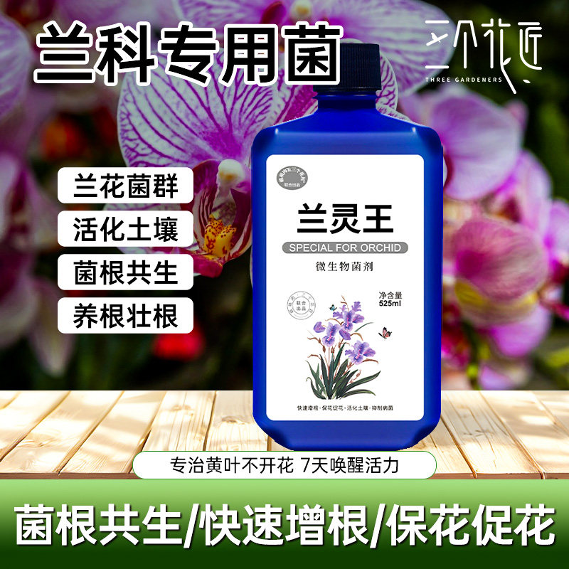 兰灵王专用营养液保花促花菌根共生蝴蝶兰君子兰肥料浓缩微生物菌