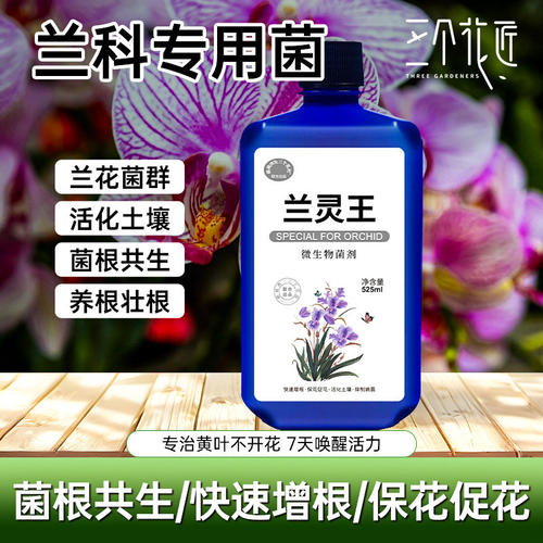 兰灵王专用营养液保花促花菌根共生蝴蝶兰君子兰肥料浓缩微生物菌
