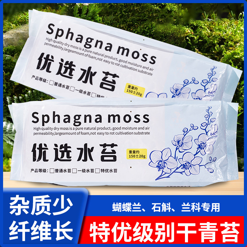 干苔藓石斛兰花蝴蝶兰专用水苔