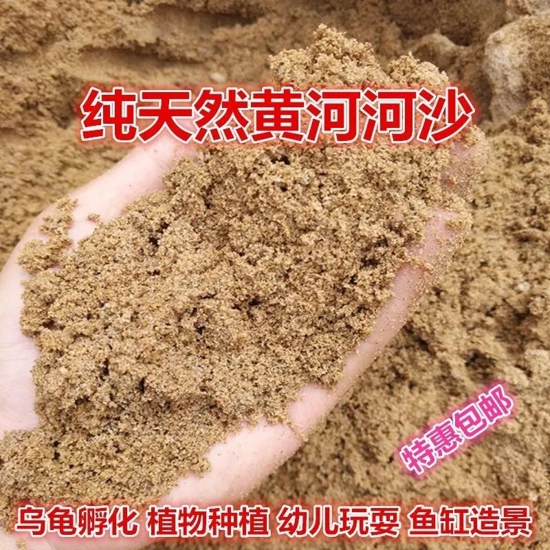 河沙养花种植土壤天然粗河沙黄沙子鱼缸底砂多肉铺面石建筑砂土