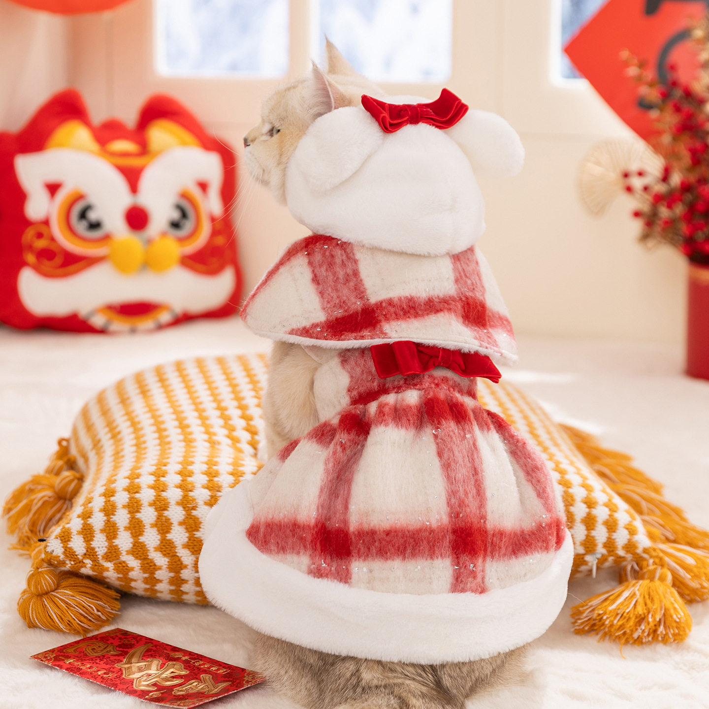 宠物衣服圣诞甜心格纹棉衣裙秋冬甜美猫衣服德文猫无毛猫衣服