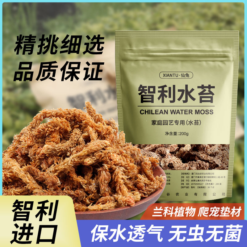 智利进口水苔蝴蝶兰专用兰花土石斛毛毛虫水苔植料干苔藓乌龟冬眠