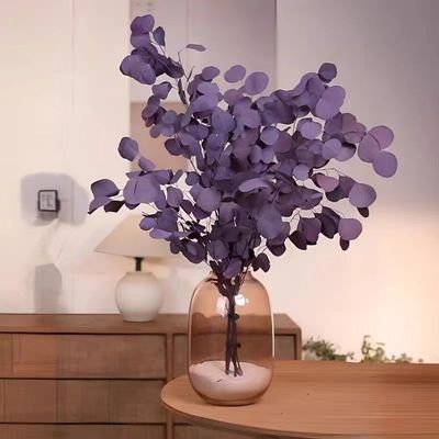 苹果叶北欧进口苹果叶永生花干花花束树叶植物装饰摆件天然真花