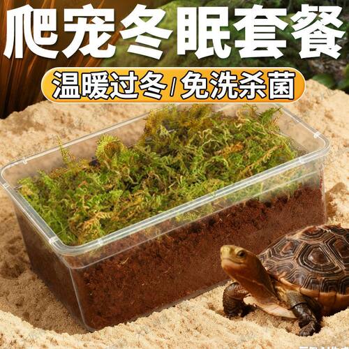 乌龟冬眠沙天然细河沙甲鱼螃蟹爬虫冬眠沙下蛋孵化专用沙鱼缸造景