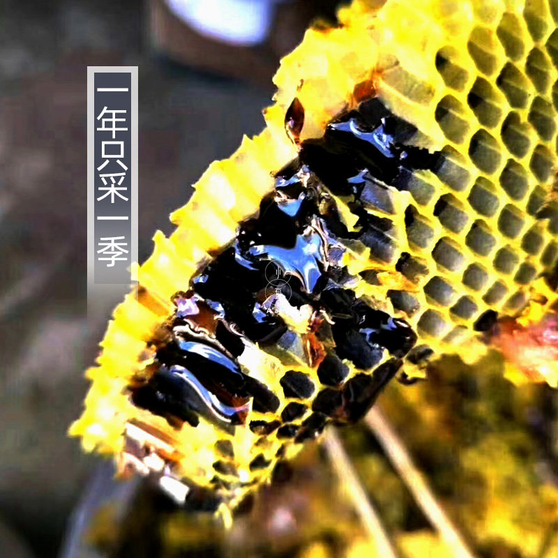 云南高山黑蜜米团花蜜土蜂蜜深山百花蜜药蜜一年只采一次一斤装