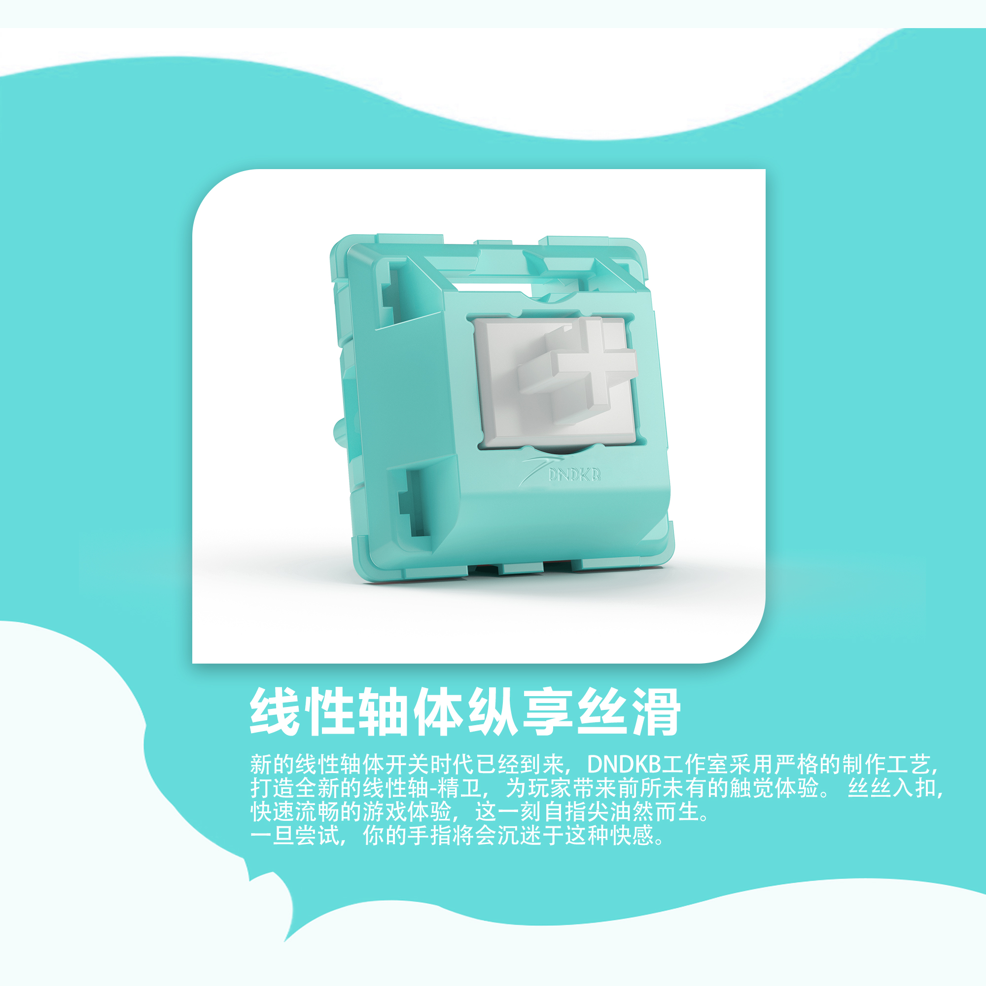 DNDKB精卫轴不锈钢弹簧