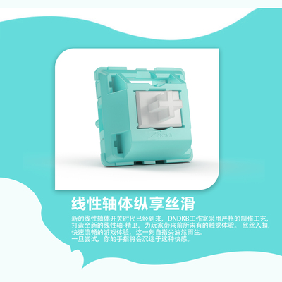 DNDKB精卫轴不锈钢弹簧