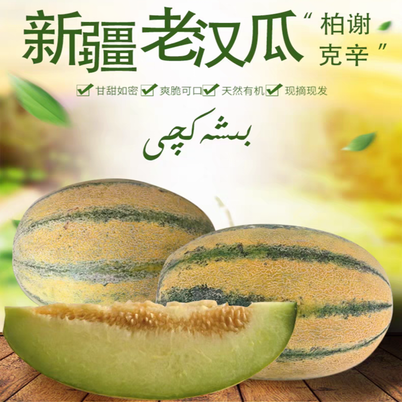新疆特产伽师老汉瓜柏谢克辛应季新鲜水果香瓜孕妇健康果全国包邮