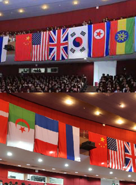模拟联合国会议活动用旗Model United Nations2号3号4号5号旗帜