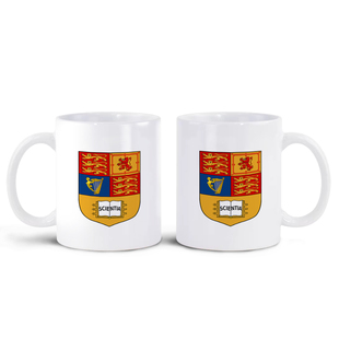 英国帝国理工学院Imperial College London马克杯茶水杯咖啡杯子