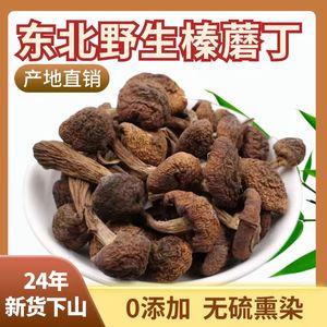 东北特产野生榛蘑丁干货500g小鸡炖蘑菇长白山臻蘑非特级无根新货