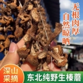 2025东北山珍特产野生榛蘑丁干货500g小鸡炖蘑菇长白山干蘑菇臻蘑
