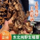 2025东北山珍特产野生榛蘑丁干货500g小鸡炖蘑菇长白山干蘑菇臻蘑