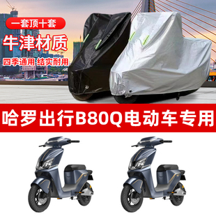 防尘防晒车套防雨防风车罩 哈啰棒途B80Q车衣专用电动车TDT207Z