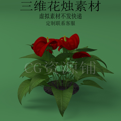 三维C4D花烛素材3ds红鹅掌fbx火鹤花安祖花红掌obj植物花朵