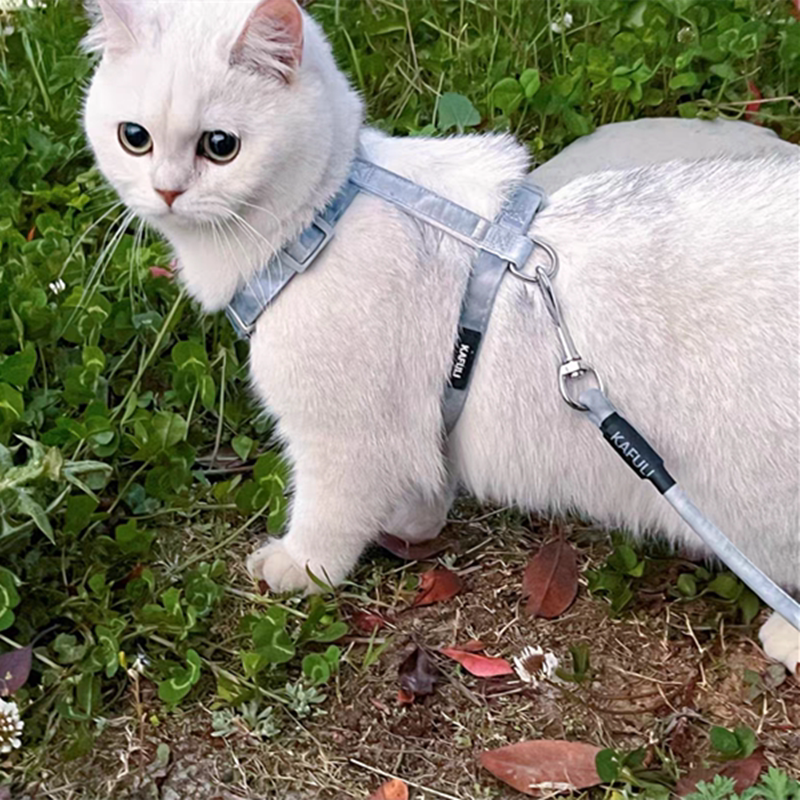 猫咪牵引绳溜猫绳子遛猫绳幼猫防挣脱外出专用遛兔子背心宠物用品