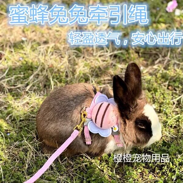 兔兔牵引绳可调节防挣脱兔绳小兔子侏儒兔宠物兔外出绳子溜兔绳子图片