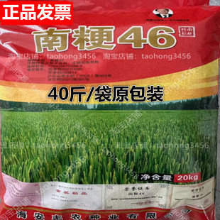 水稻种子南粳46稻谷种籽优质圆粒珍珠香大米种子亩高产高达1400斤